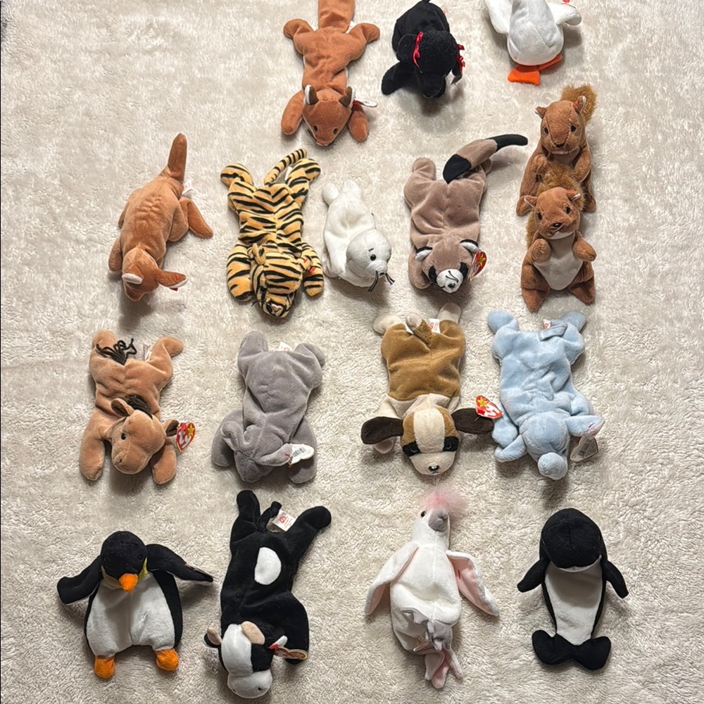 Beanie Babies (as shown)